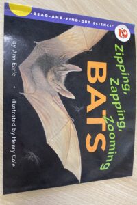 2/8 水曜夜クラス：Zipping, Zapping, Zooming Bats