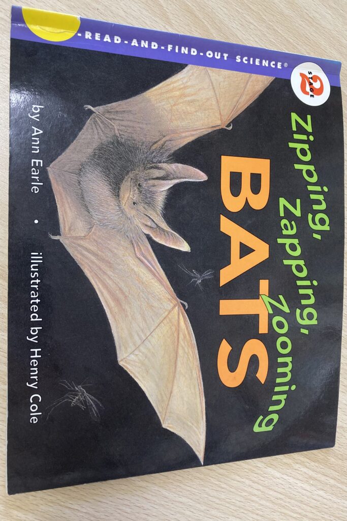 2/8 水曜夜クラス：Zipping, Zapping, Zooming Bats