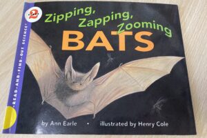 2/8 水曜夜クラス：Zipping, Zapping, Zooming Bats